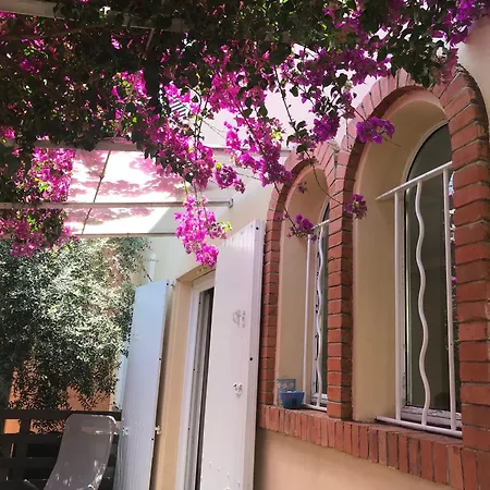 Villa Les Pins Dores Antibes